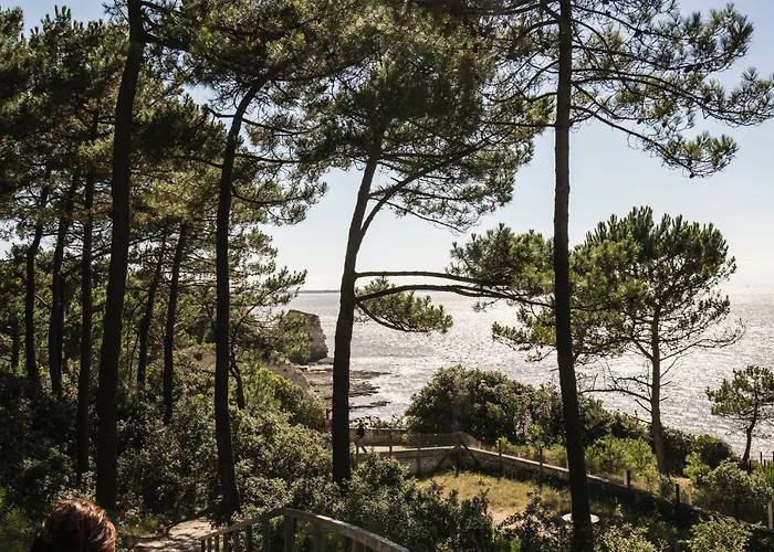 Holiday home Vintage Saint-Fort-sur-Gironde